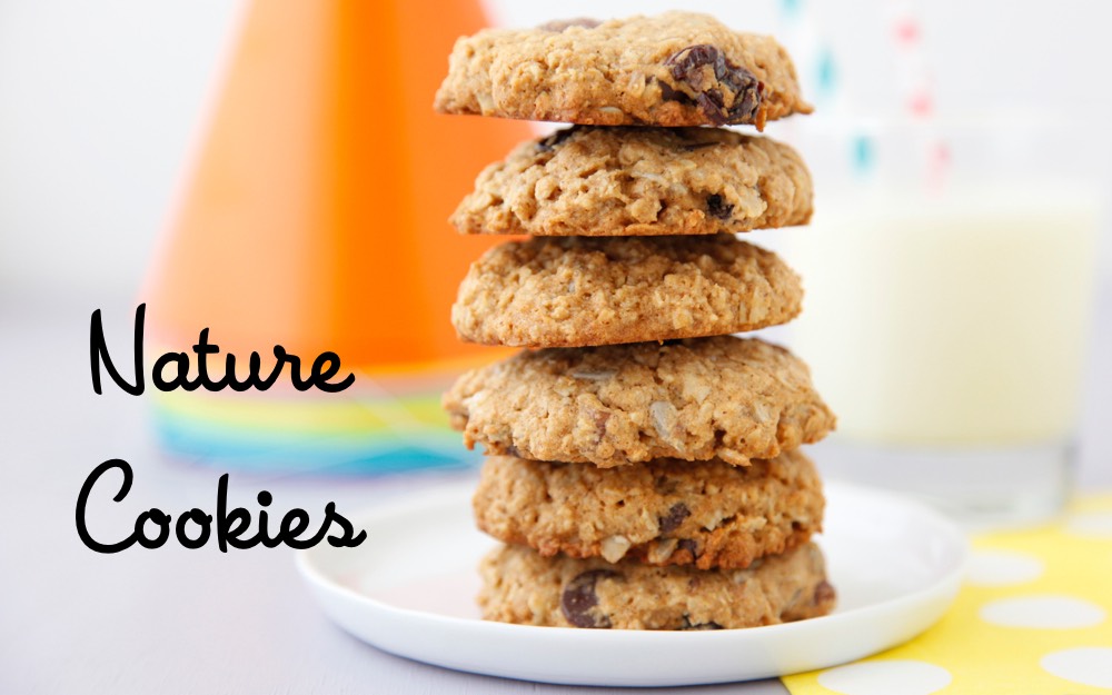 Nature Cookies from Weelicious Lunches