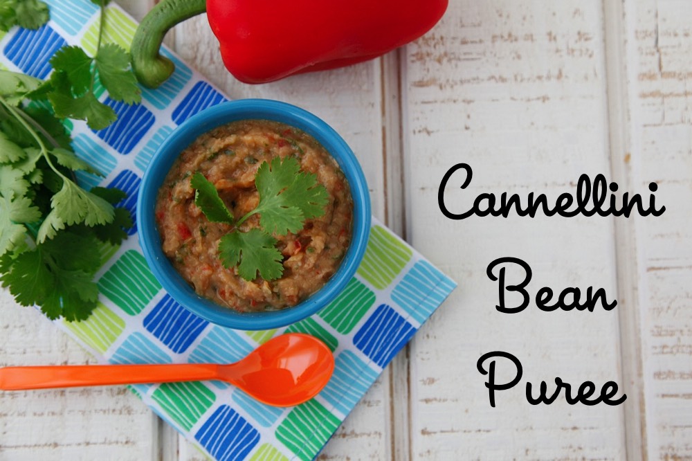 Cannellini Bean Puree from Weelicious
